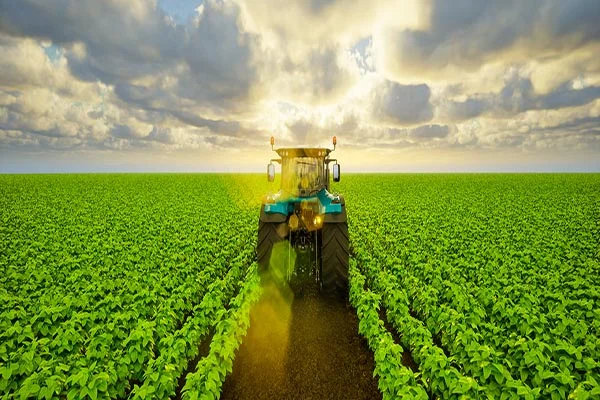 How To Clear Land With A Tractor Vero Beach FL