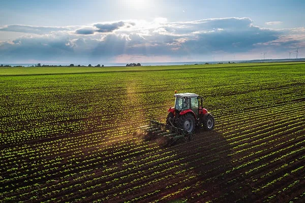 How To Clear Land With A Tractor in Vero Beach FL