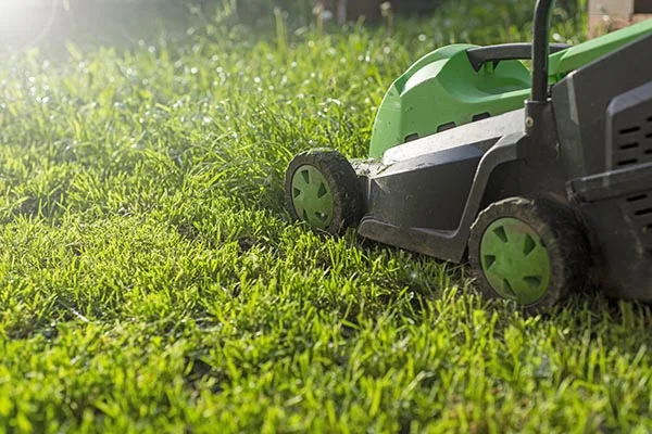 How To Mow A Lawn Vero Beach FL How To Mow A Lawn Vero Beach FL