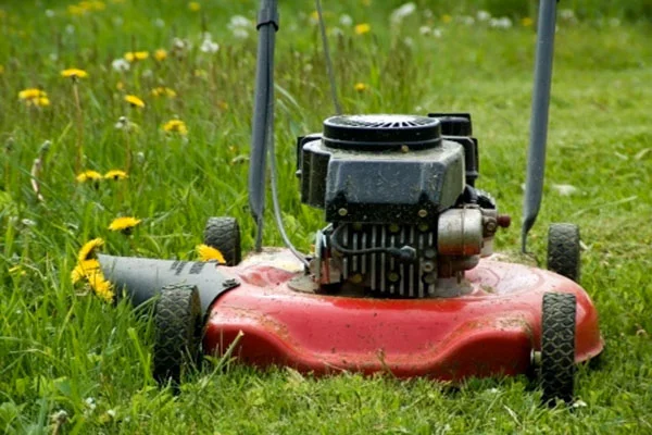 How To Mow A Lawn in Vero Beach FL How To Mow A Lawn in Vero Beach FL