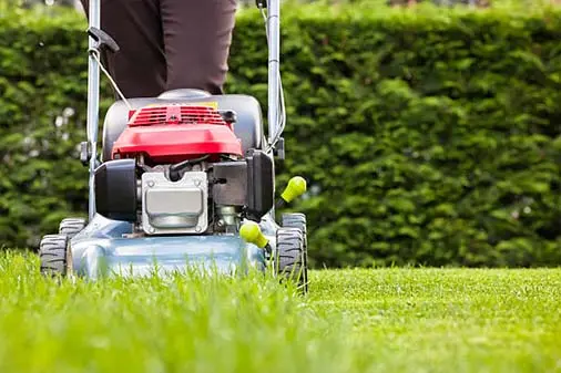 Mowing Services