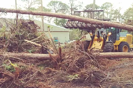 Tree Removal