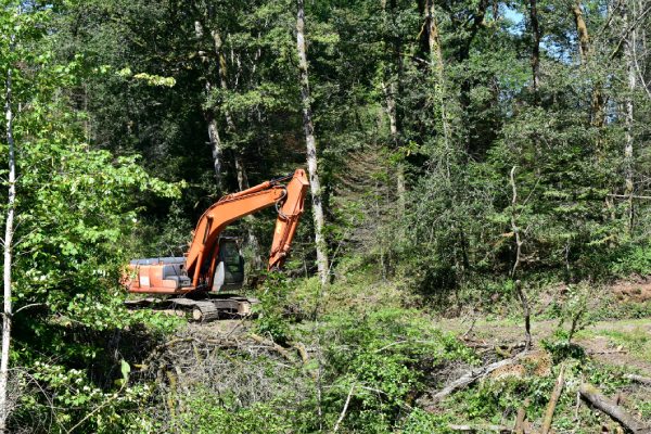 Lot Clearing