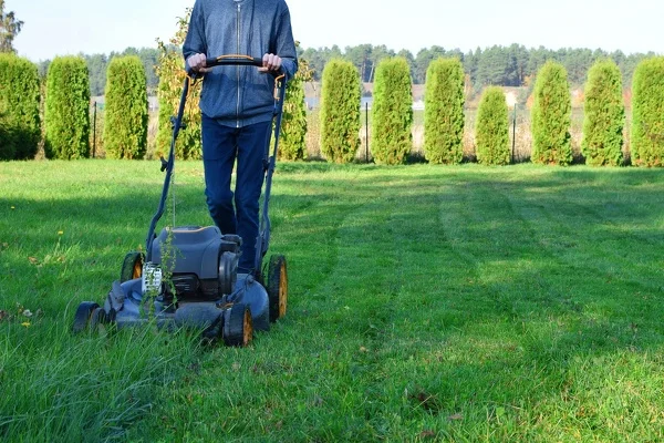 Professional Mowing Service in Vero Beach FL